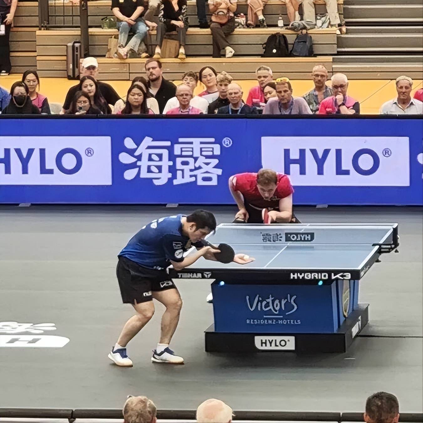 瑞典乒乓球队爆冷比利时乒乓球队,樊振东制霸全场 瑞典乒乓球队爆冷比利时乒乓球队,樊振东制霸全场