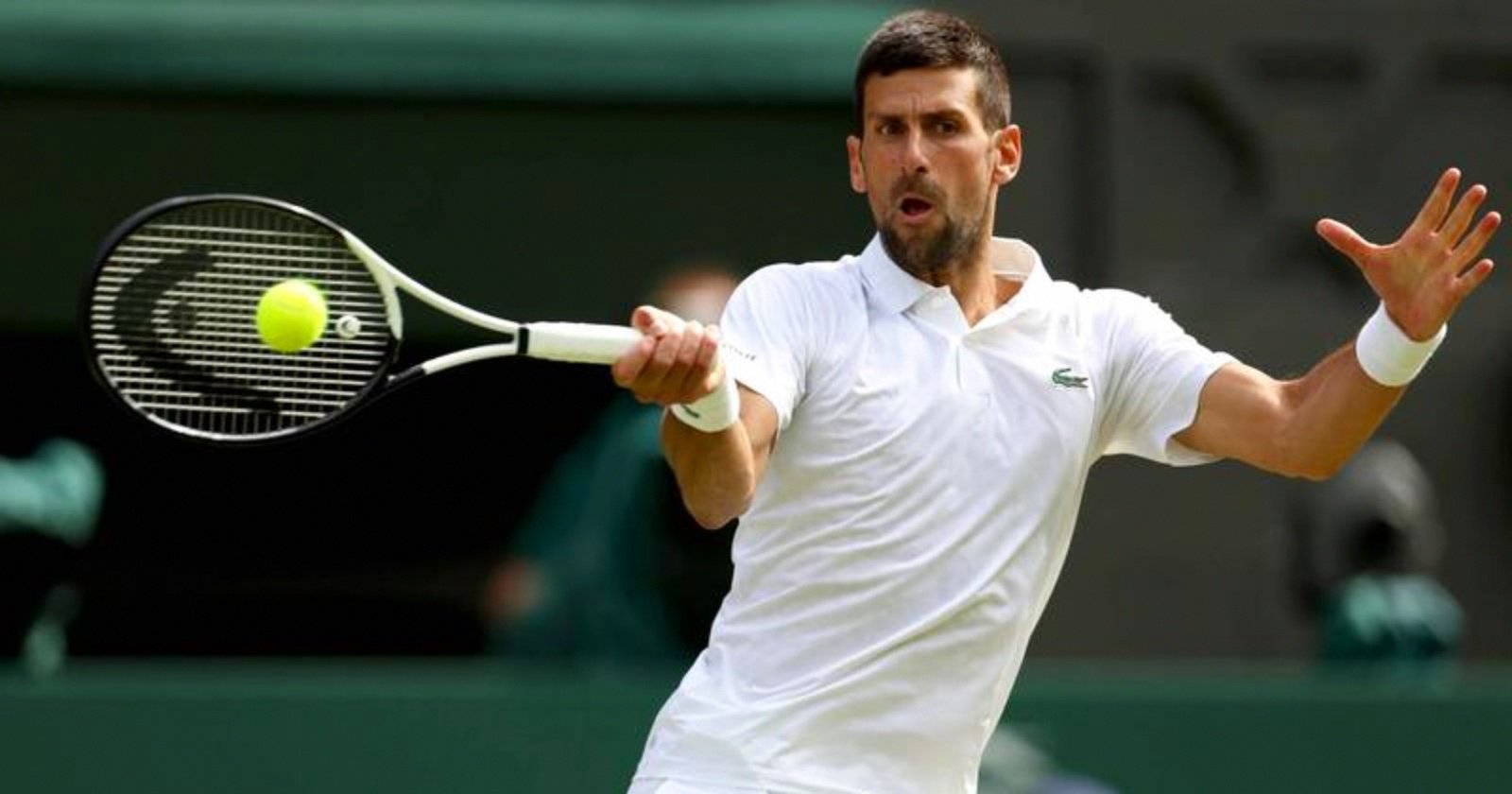 法网轻取ATP总决赛，德约科维奇带队取胜